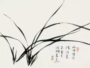 兰花的画法国画,兰花的画法步骤动画