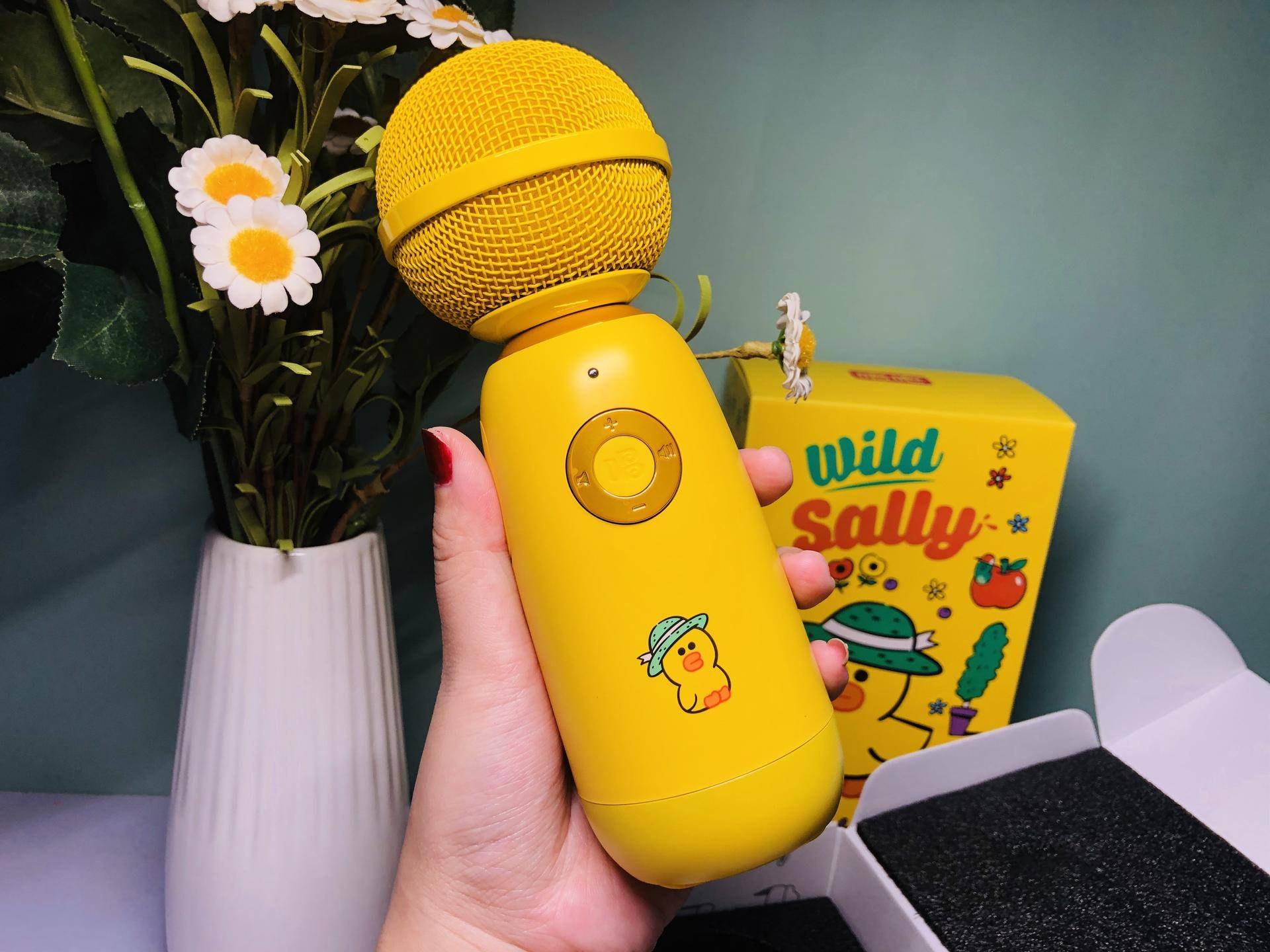 新款小巨蛋麦克风,比小巨蛋便宜好用的麦克风推荐