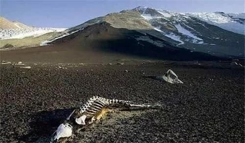 这么全的中国地理合集！看到你就是赚到了！