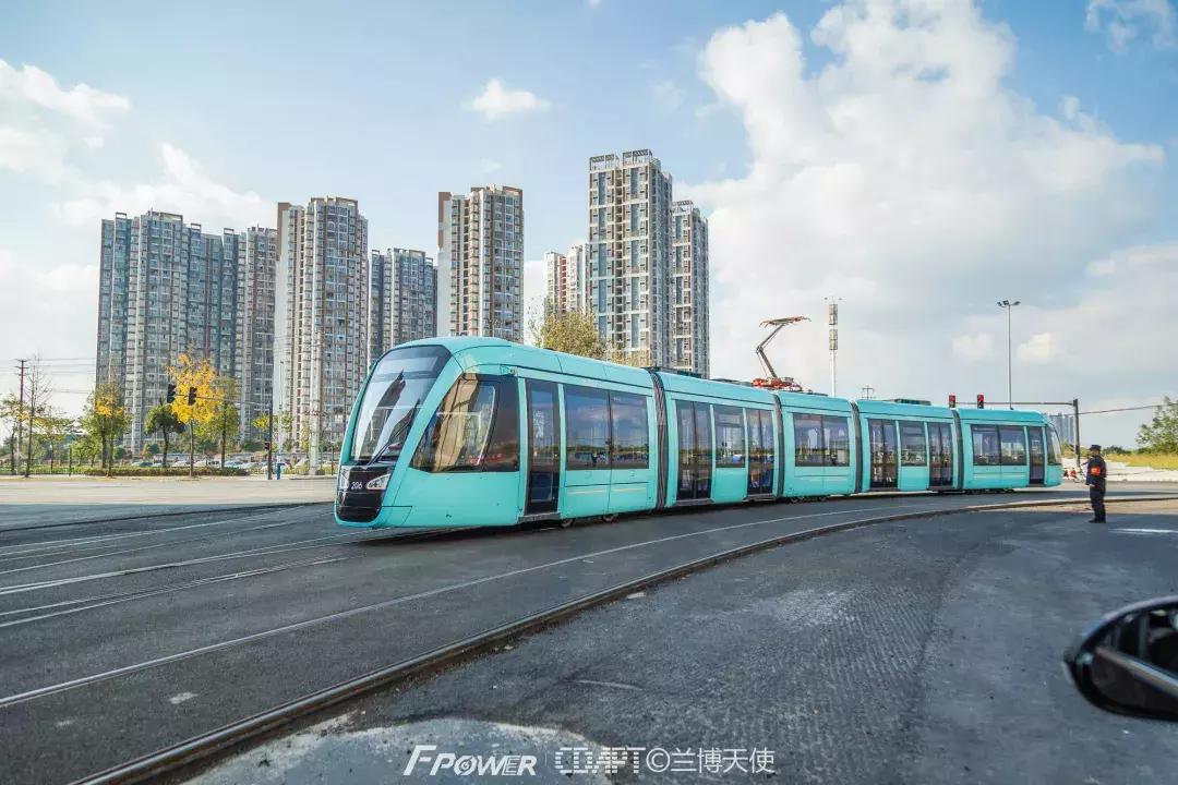 从蓉2来|天天看见“叮叮猫”跑来跑去的,它到底在忙什么啊?