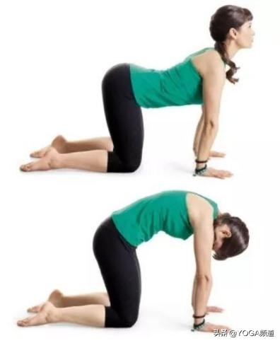 颈椎和腰椎疼痛按摩能好吗,颈椎腰椎关节疼痛吃什么药