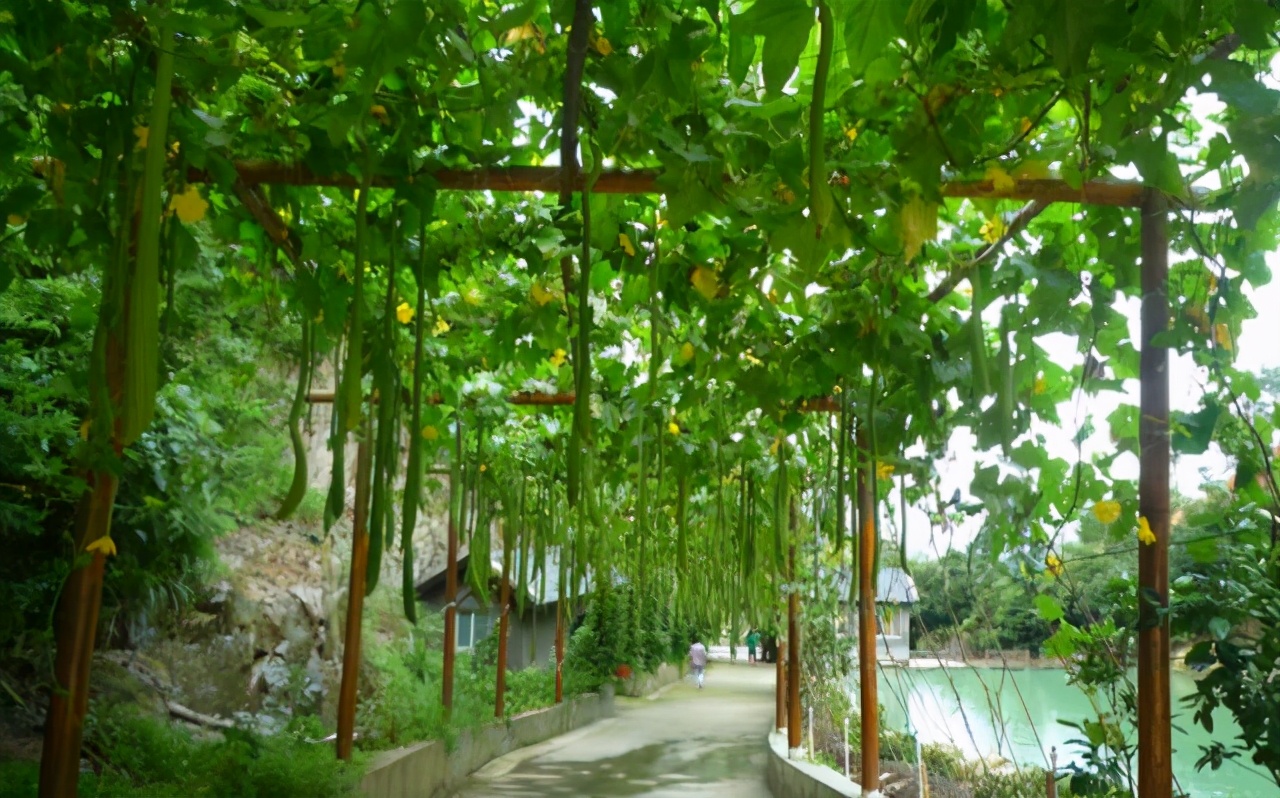 温州好玩的地方推荐吹台山公园,温州吹台山森林民宿门票