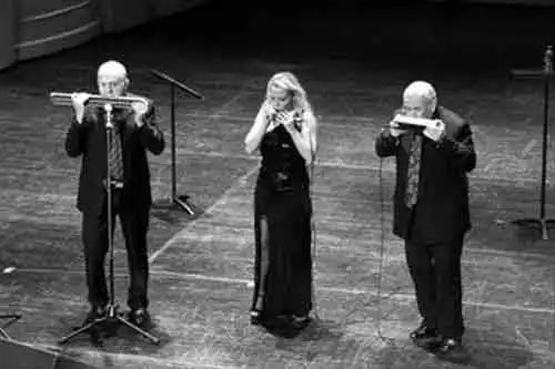 口琴只是孩子的玩具吗,口琴是移动的钢琴