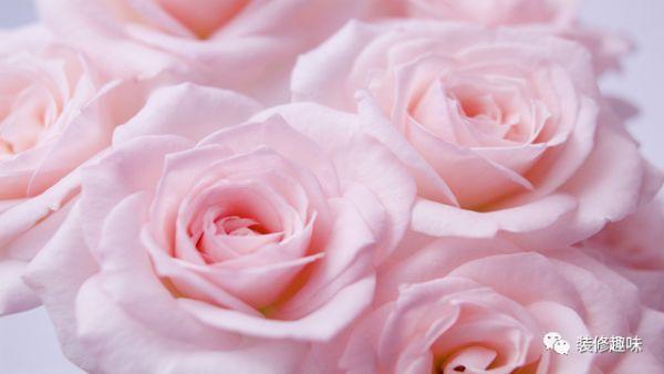 干劲满满的励志句子打了鸡血,打满鸡血的励志短语