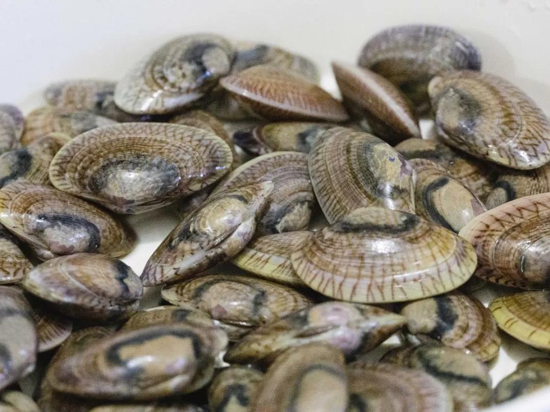 砂锅可以做焗菜吗,砂锅焗大虾花蛤金针菇