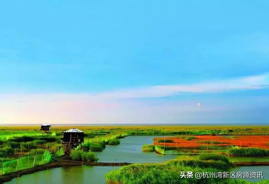 未来5年杭州湾新区能发展好吗,2023年杭州湾新区会有新发展吗