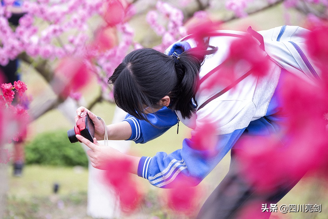 致敬无悔的青春,致敬无悔的青春完整版