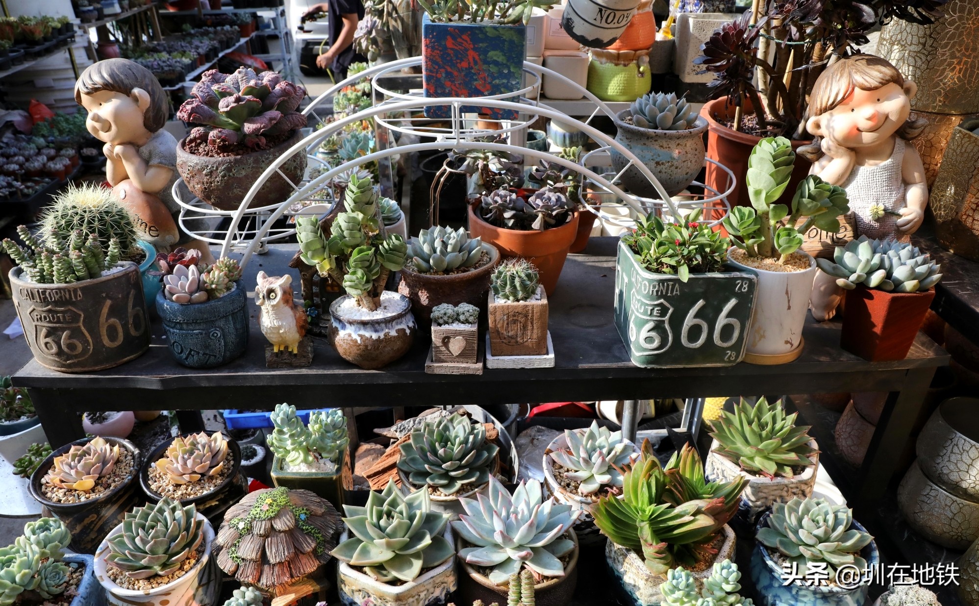 乘坐地铁到滘口花卉市场,从地铁到花卉市场