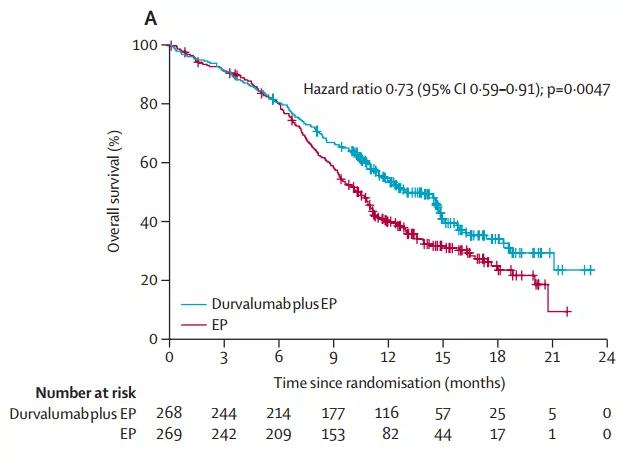 目前常用的肿瘤免疫治疗手段,肿瘤免疫治疗药物国产和进口区别