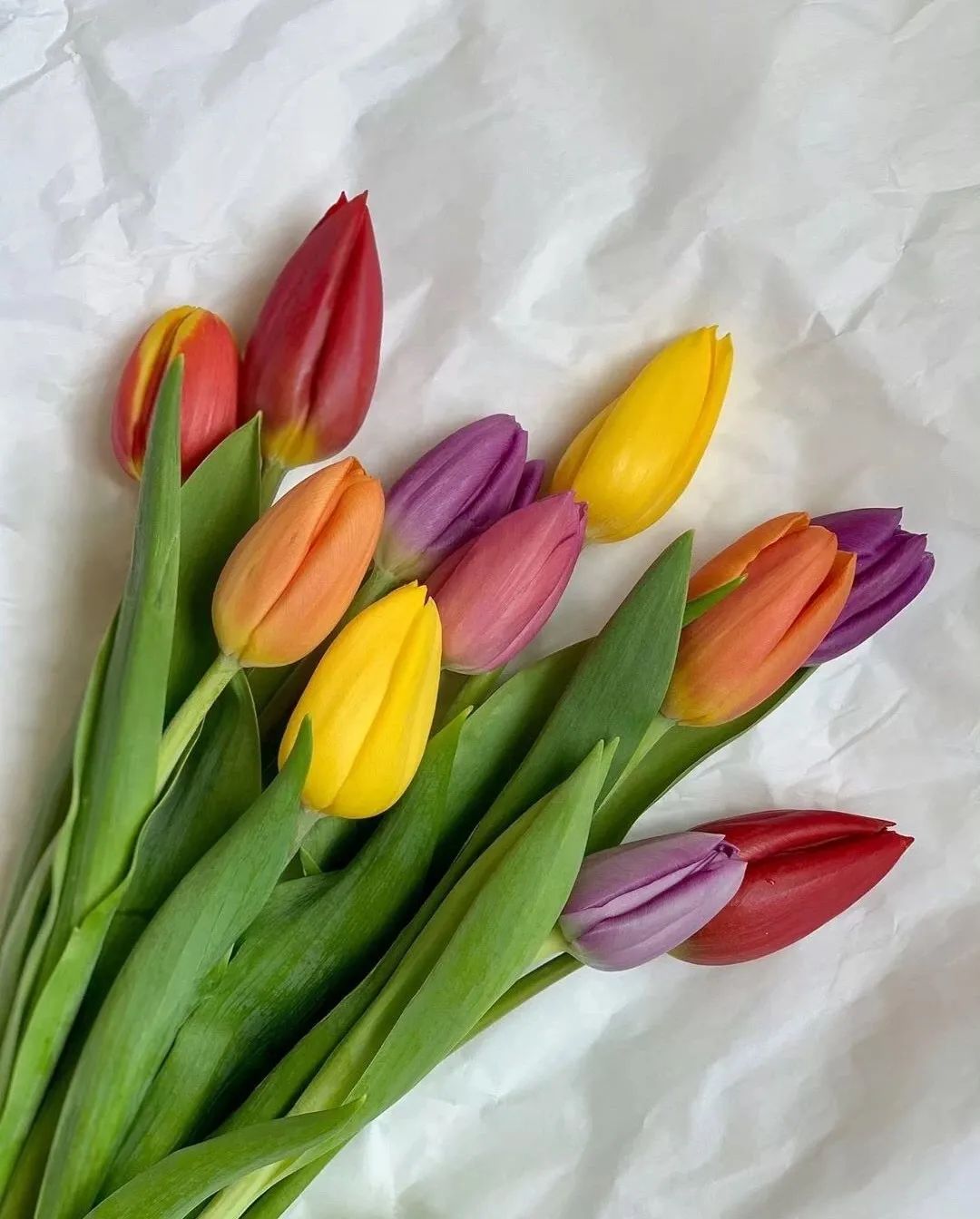 川建国系列骚操作在提示我们，国货可以买起了