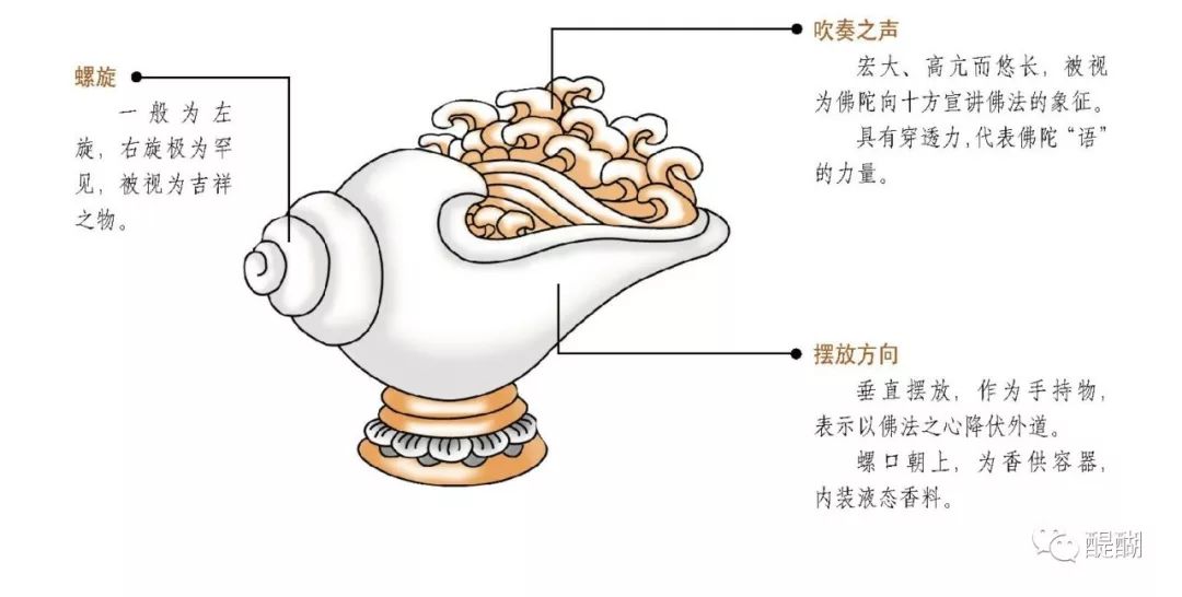 这只海螺轮回了5世，才成为敖丙送哪吒的信物