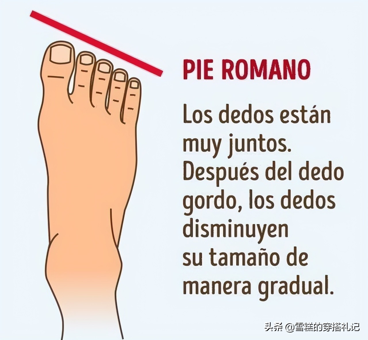 夏天配裙子的百搭鞋,圆头高腰鞋怎么搭配裤子好看