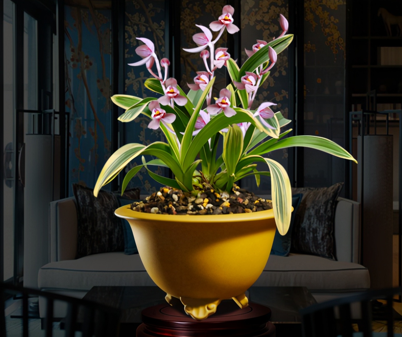 墨兰金边红瓣兰花,兰花金边紫月兰