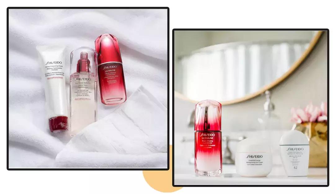 新手必看的系列,新手必看系列图片