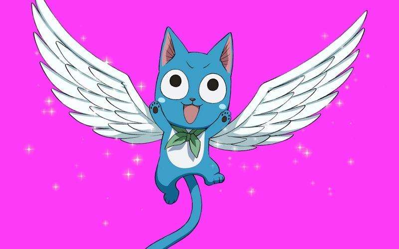 妖精的尾巴灭龙魔导士有多少人,妖尾灭龙魔导士为什么需要猫