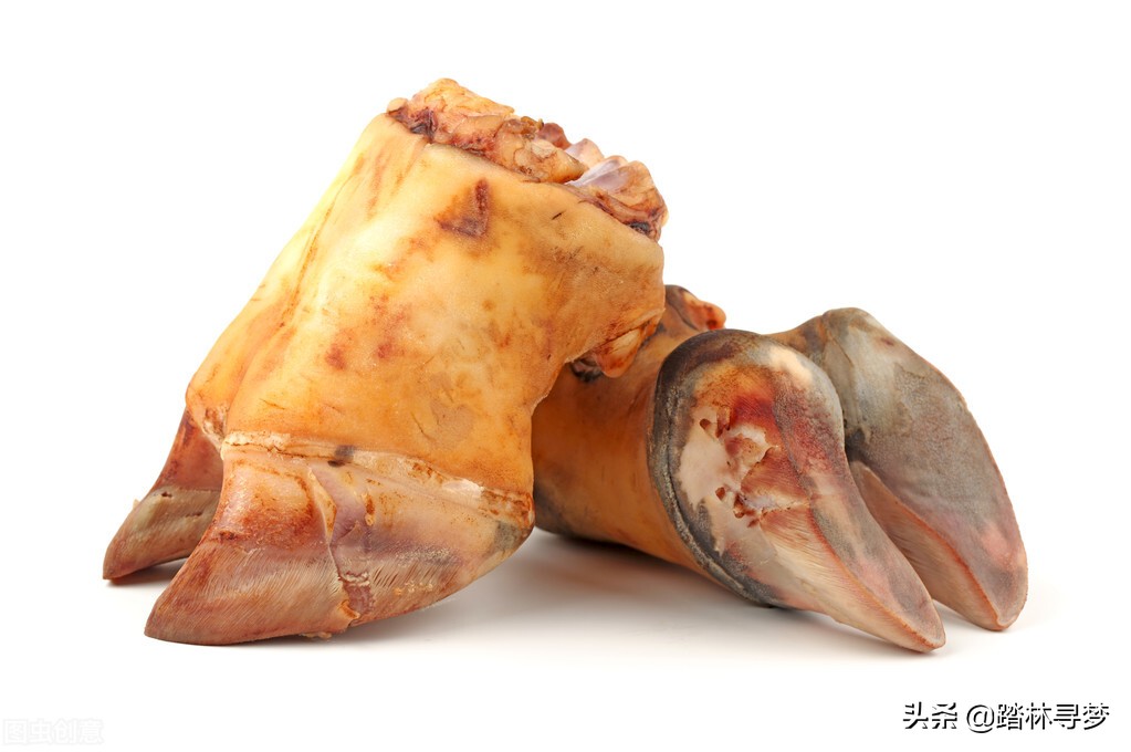 育肥牛如何预防后期蹄病,育肥牛的蹄子瘸怎么办