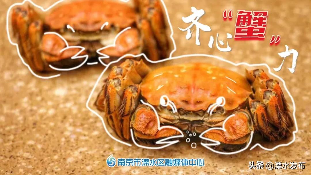南京溧水:本土美食“啦啦队”正式出道!