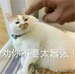 和朋友吵架了冷战怎么解决搞笑,和朋友吵架冷战想和解的视频