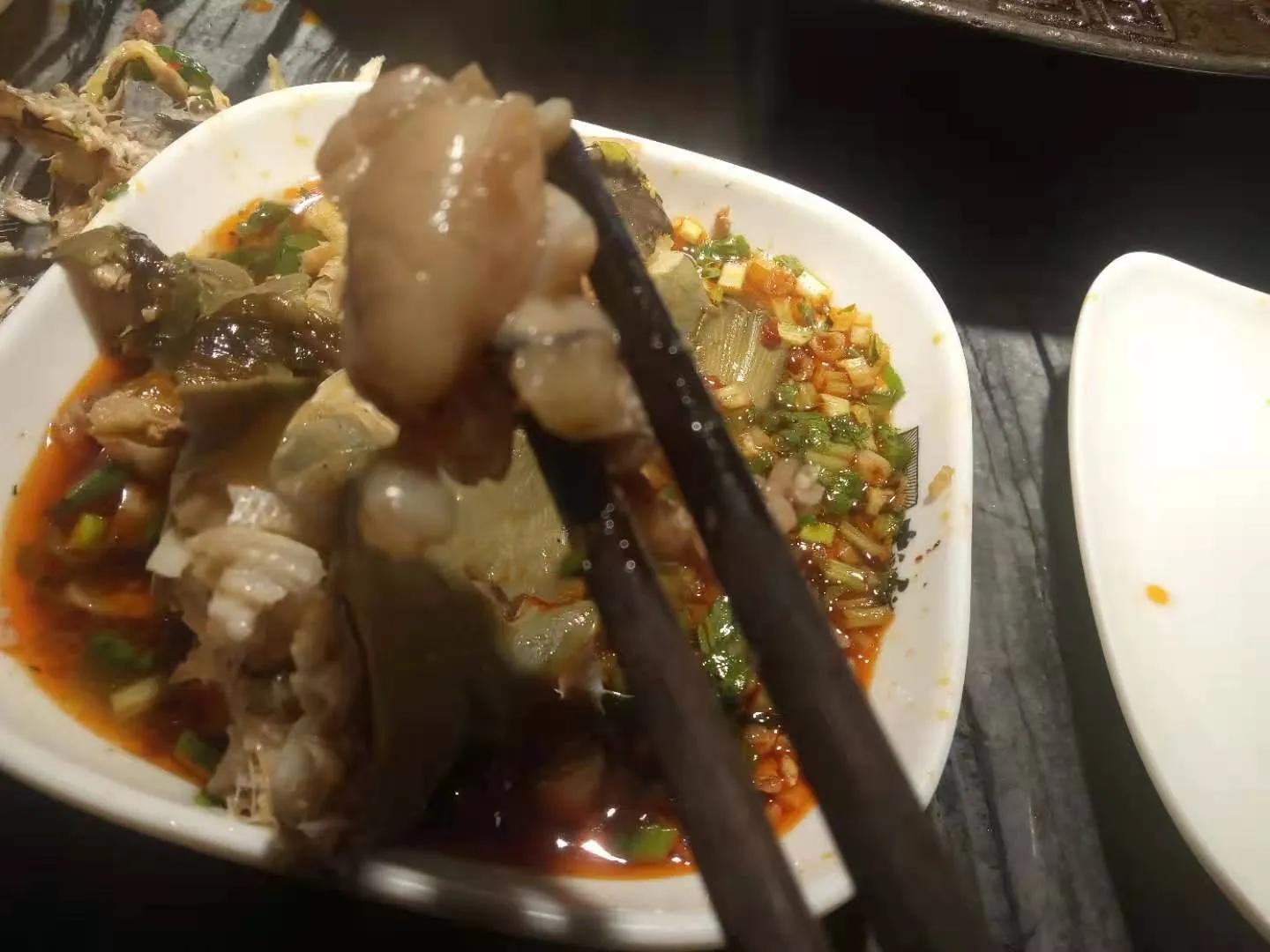 自然元素全集,自然元素在哪看