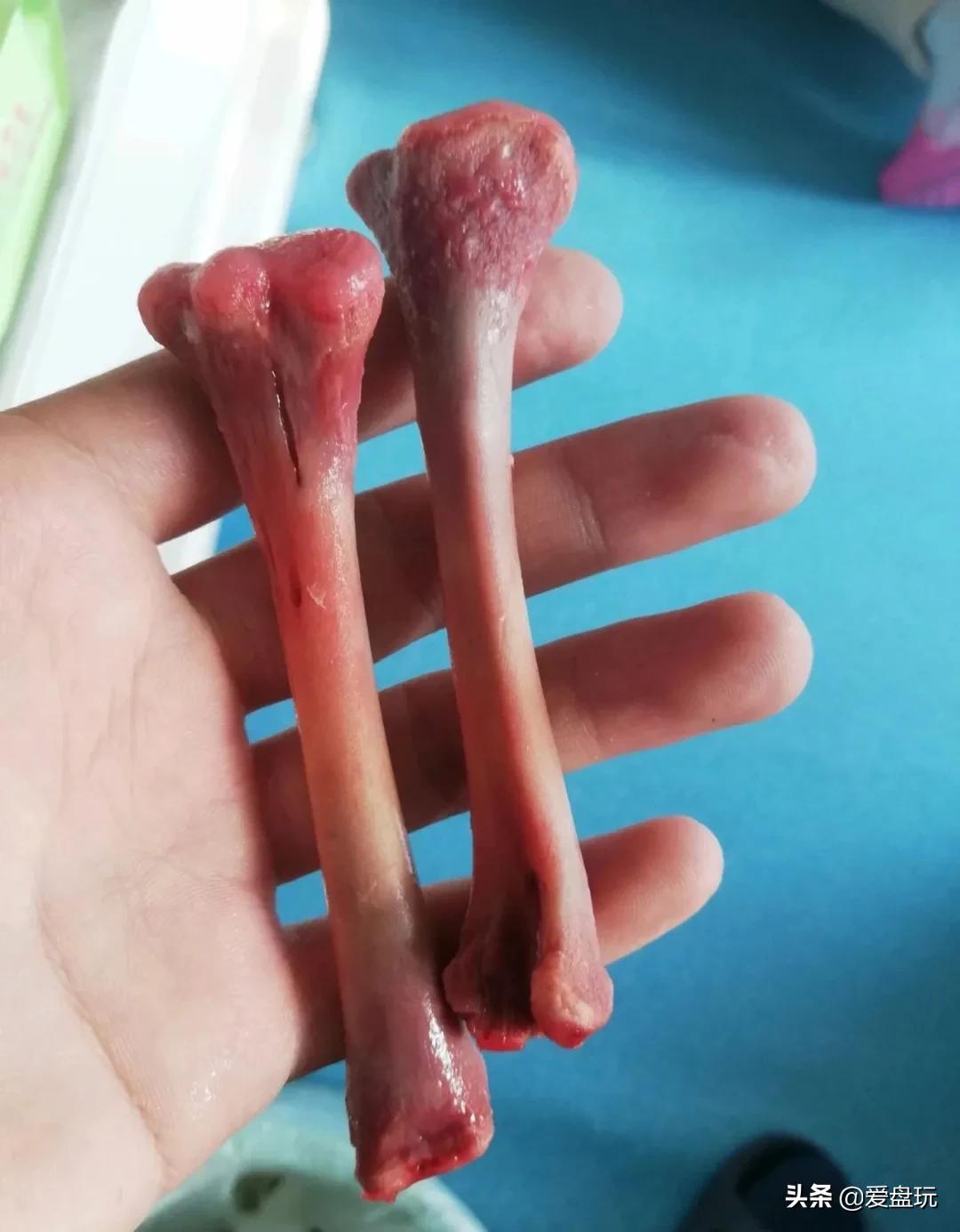 栗子，也能玩？这算啥，看看我玩的