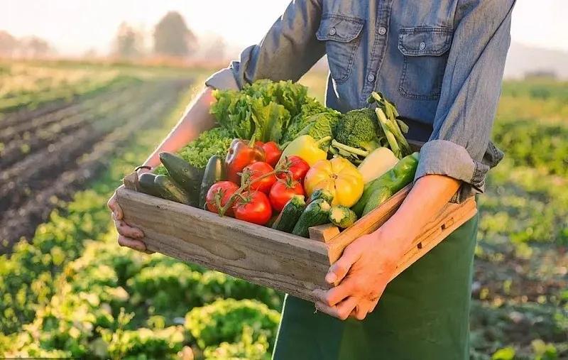 农产品配送行业具备什么特点,农产品配送行业的八大特征