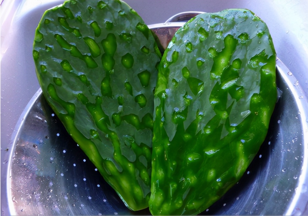 100种最毒的毒花,20种有毒的大毒花