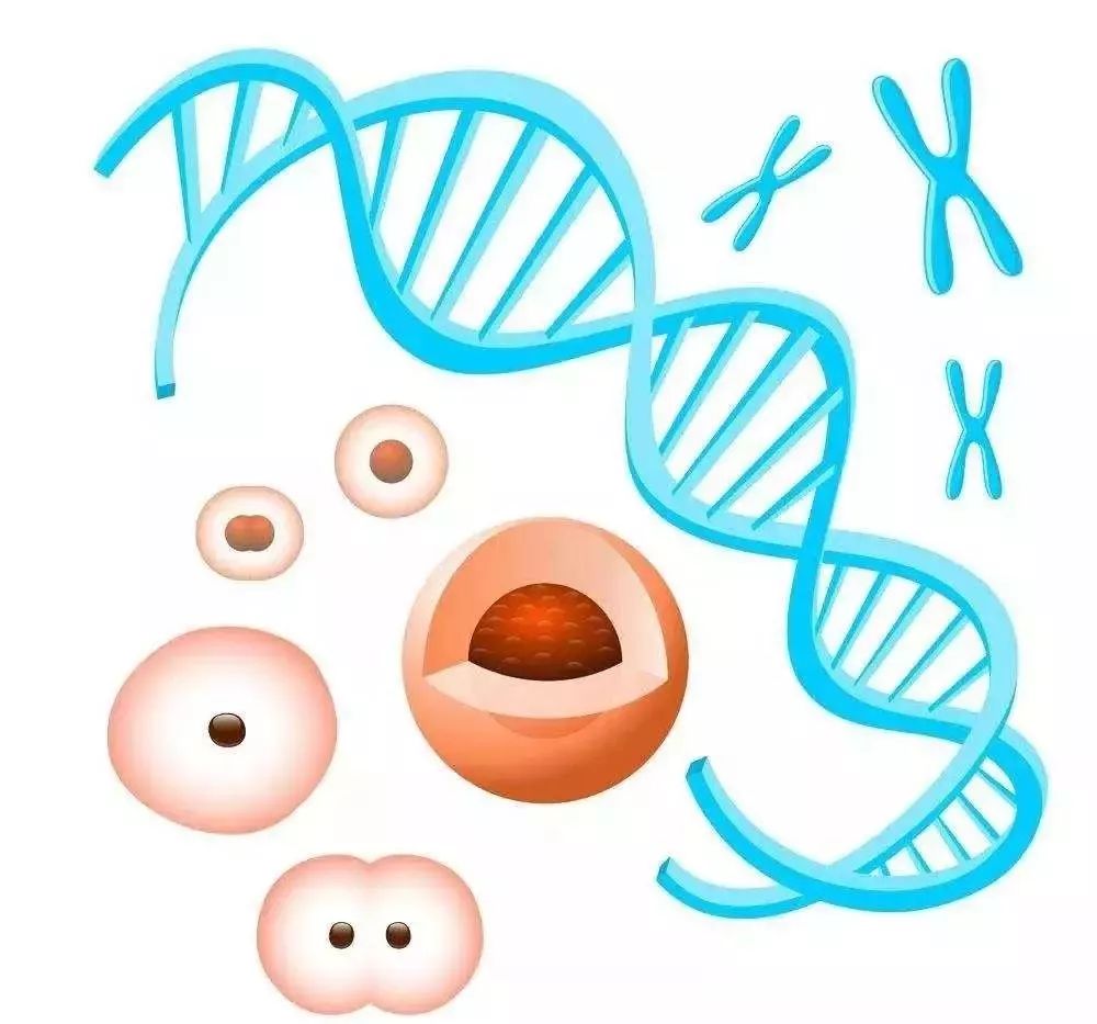 陈教授最感动一段话,陈教授谈肿瘤视频