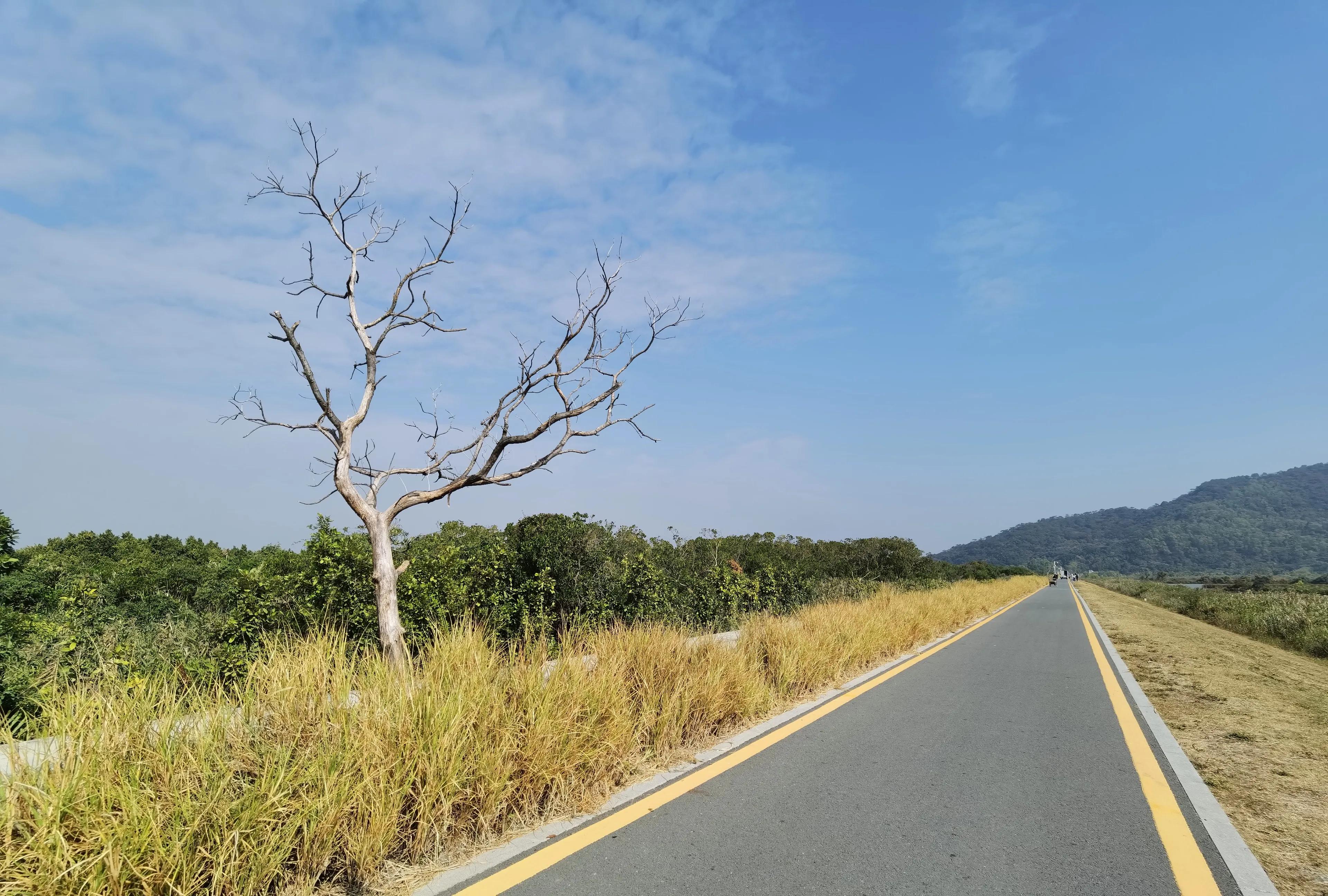 珠海淇澳岛红树林攻略,珠海桂山岛3天二夜的旅游攻略