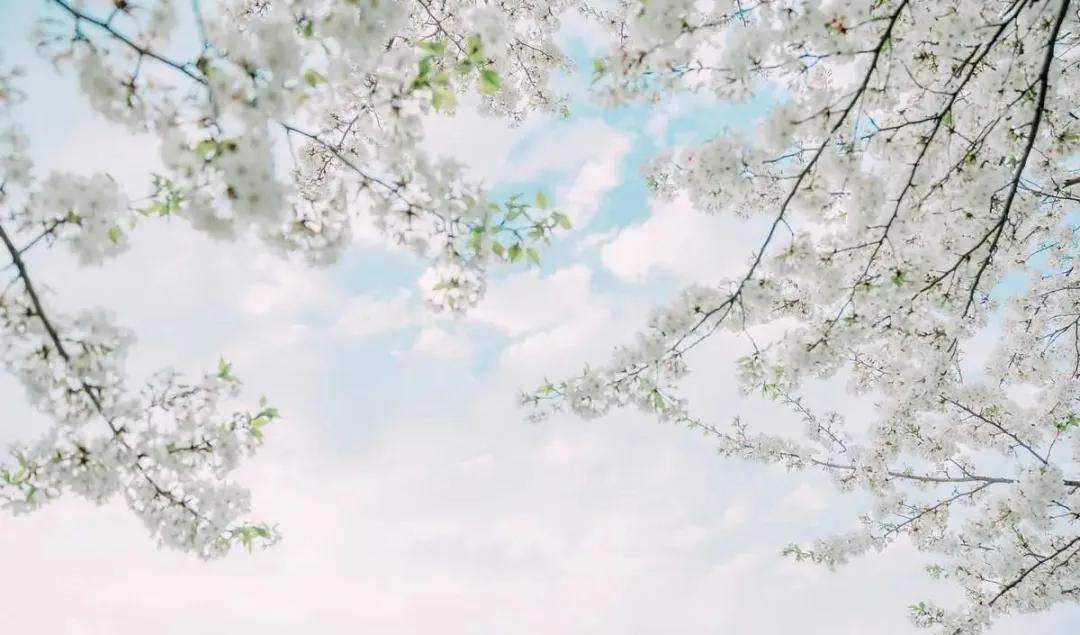 重温孩子的乐趣,孩童爬山的乐趣