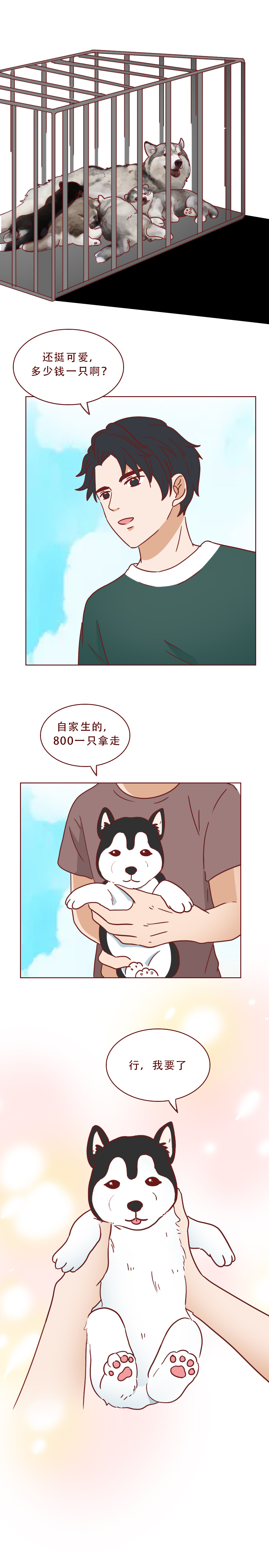 捡回来抑郁的猫,捡回一只小猫原居民抑郁了