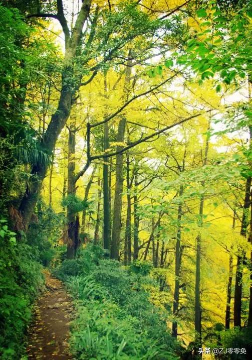 成都周边爬山的好地方人少免费,大年初一成都周边登山游一日游