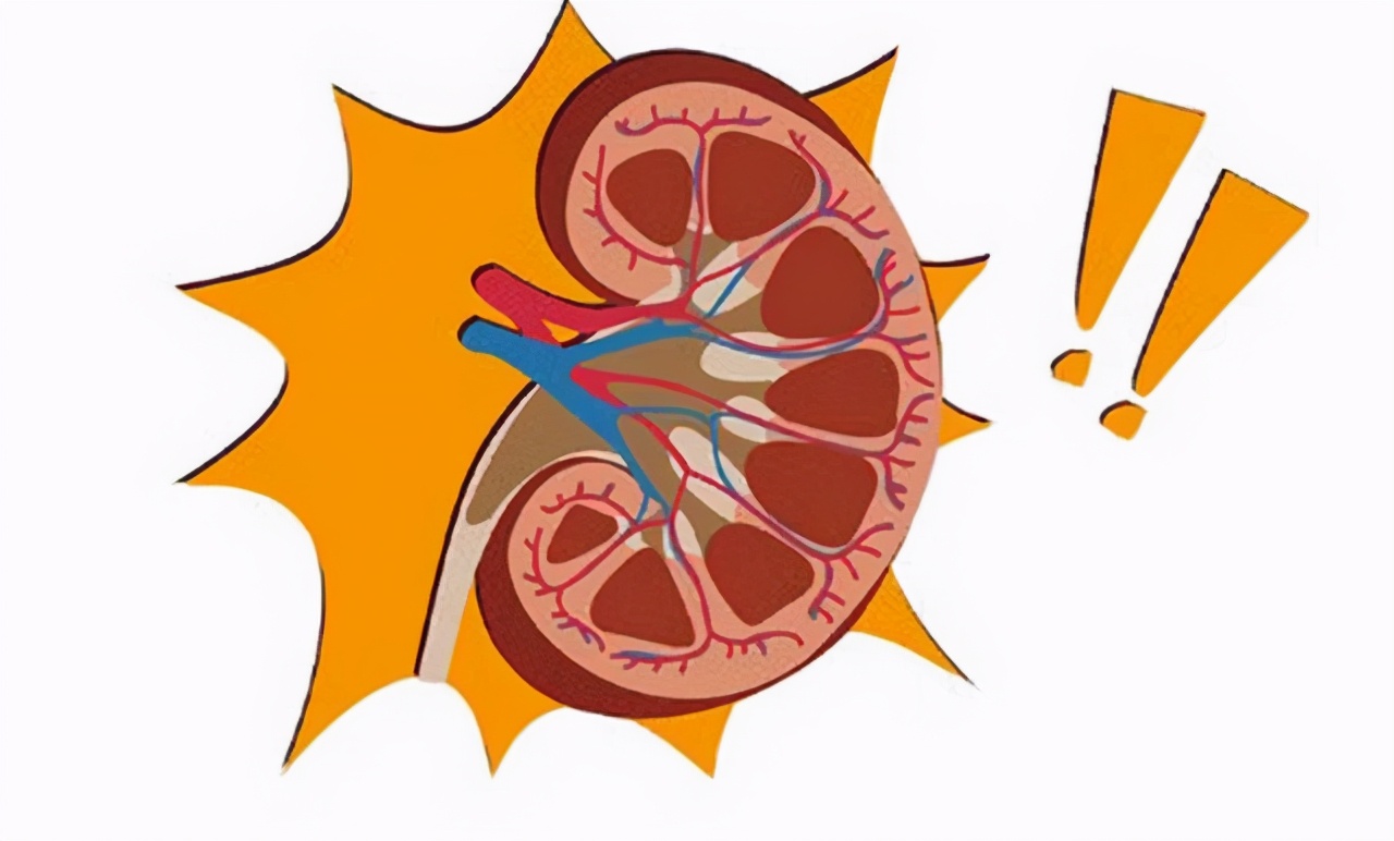 为什么会感觉尿频尿急,为啥会尿急