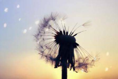 女生婚前行为可取吗,男性婚前行为可取吗