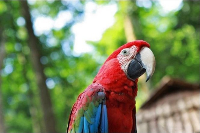 西双版纳理想风景区,西双版纳实用攻略