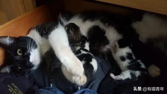 24岁男子喜当爹去派出所,90后男子相亲被误当爹