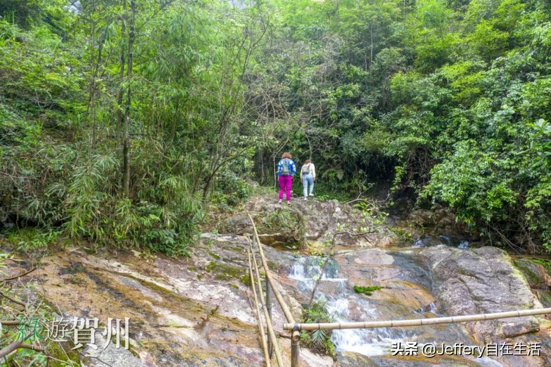 拍贺州｜莲塘镇大山深处的“一号基地”