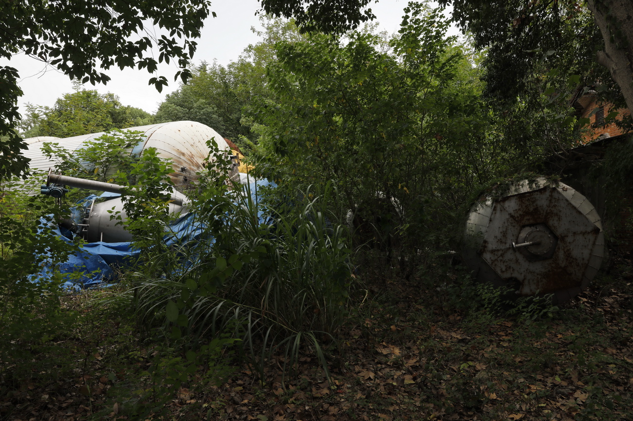 武汉东西湖产的雪花啤酒,东西湖雪花啤酒厂2015年