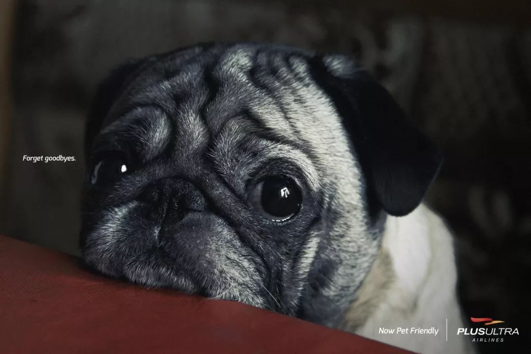 全球创意海报100张,最新创意海报合集值得收藏