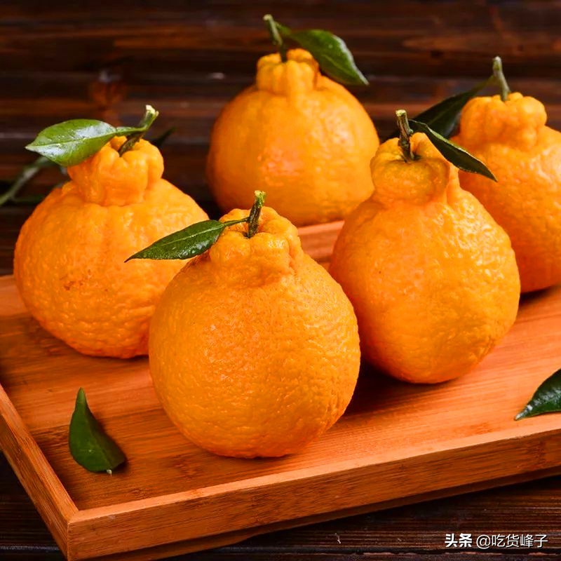 丑橘是转基因水果吗能吃吗,丑橘和转基因水果哪个好