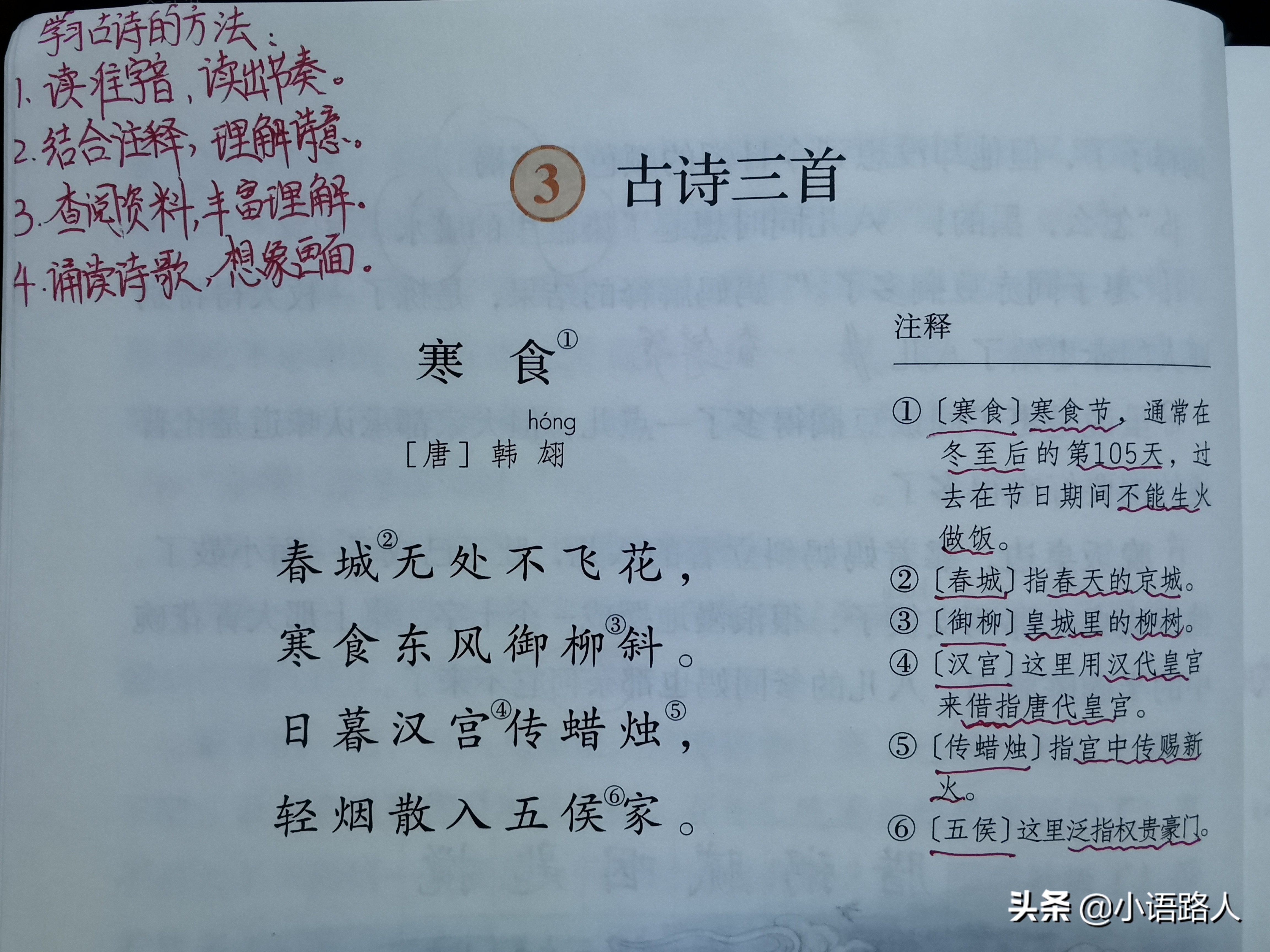 2020-2021小升初语文总复习,六年级下册小升初语文复习重点