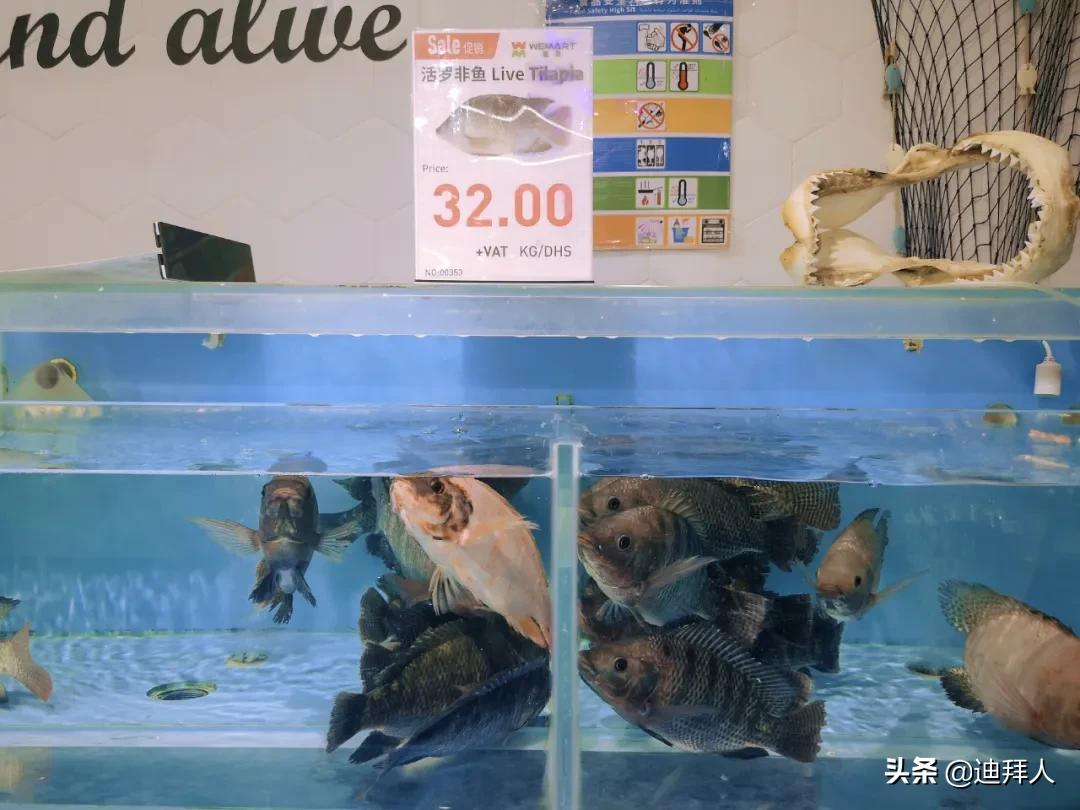 迪拜的物价多少钱一平方,迪拜顶级商场购物实拍