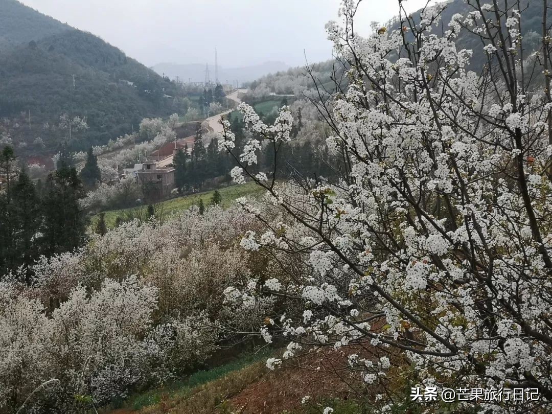 云南适合隐居的小山村,云南与世隔绝的花海