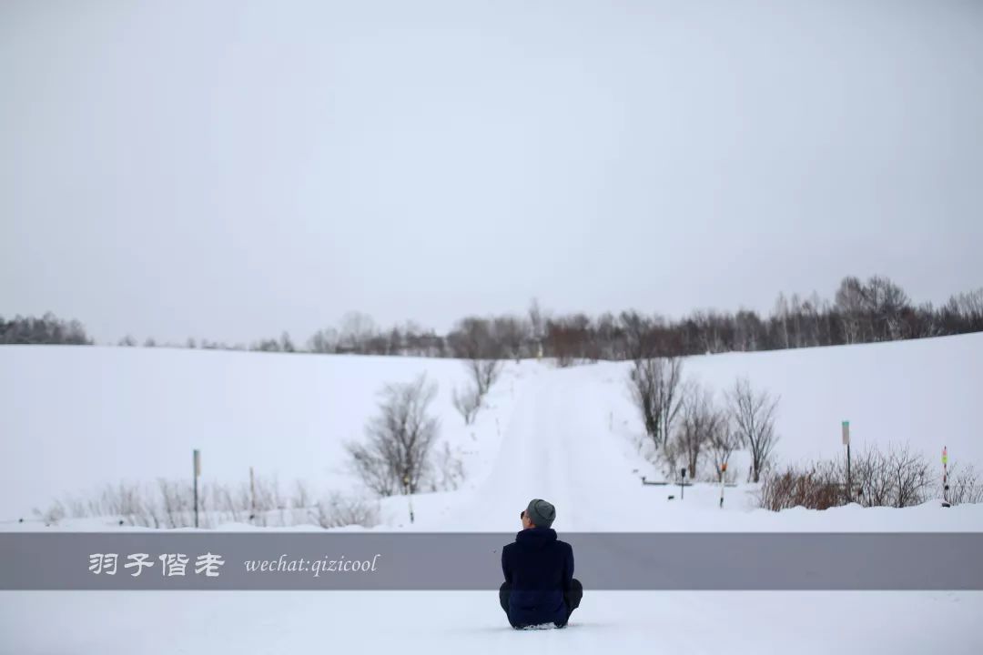 日本10天自由行费用北海道,东京北海道5日自由行攻略