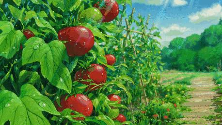 民国年间的豆腐坊,豆腐坊历史照片