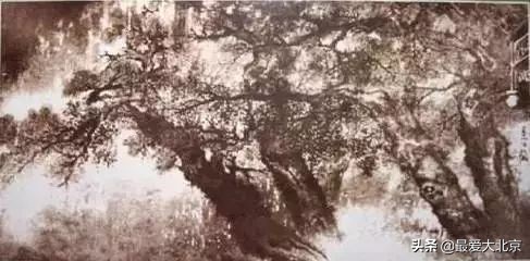 龙潭湖中湖公园游乐场摩天轮攻略,近期龙潭中湖摩天轮什么时候亮灯