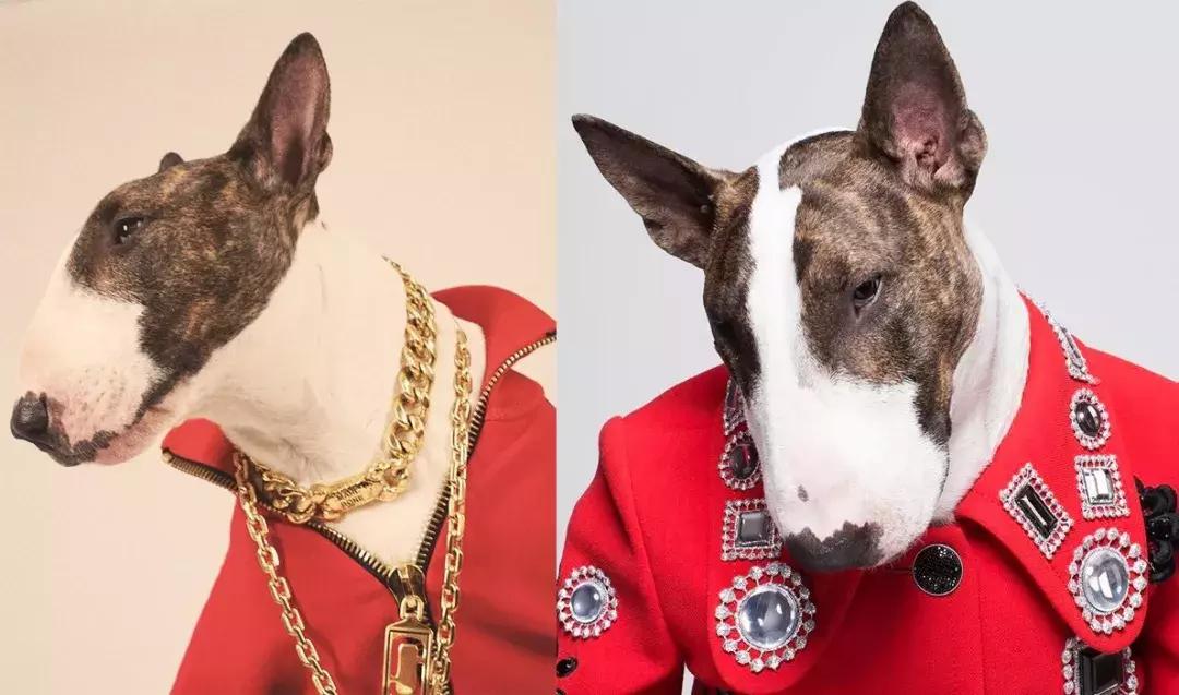 gucci和supreme联名马丁靴,guccisupreme鞋子