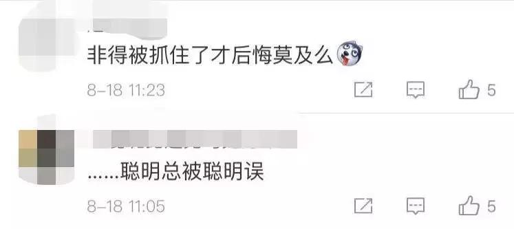 恶意逃票40余次,男子一年内恶意逃票480余次被抓