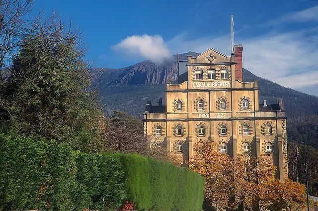 澳洲最好的抗癌药品,澳洲健康饮品真的有用吗