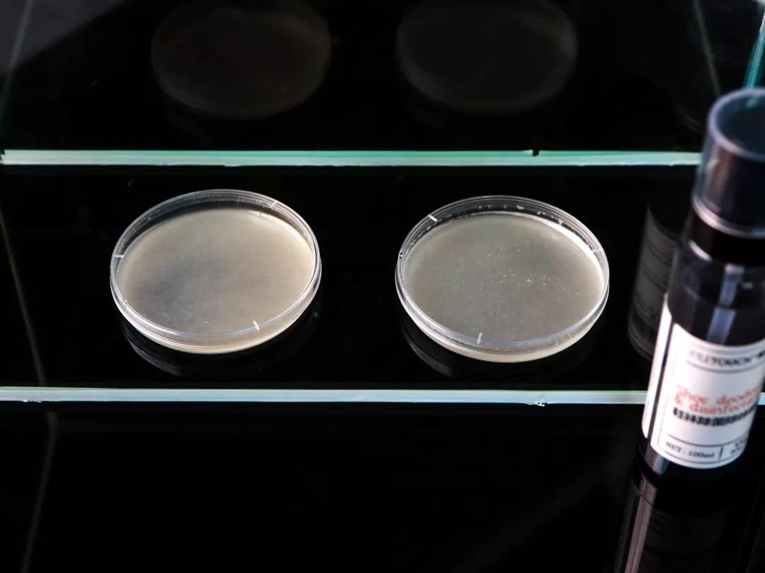 臭脚臭鞋袜不再尴尬，随身带瓶杀菌除味喷雾，轻轻一喷异味尽除