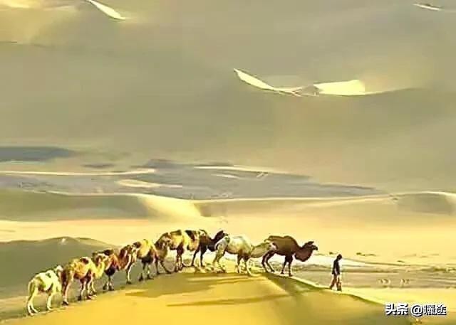 喀什到拉萨旅游景点,喀什塔县旅游景点大全